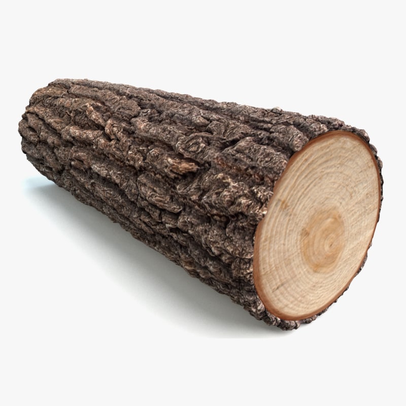 Log Lady's log